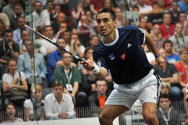 Thierry Lincou squash